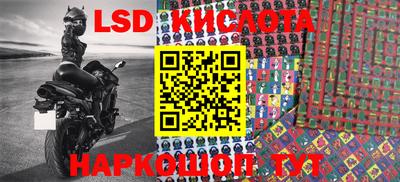 ПСИЛОЦИБИНОВЫЕ ГРИБЫ Шебекино