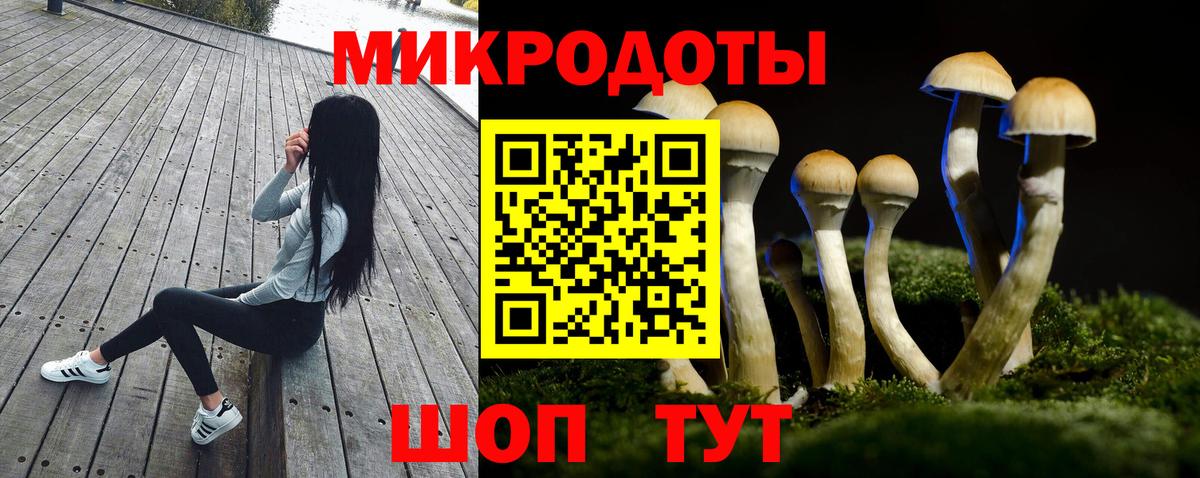 Крымск  Псилоцибиновые грибы мухоморы  Галлюциногенные грибы GOLDEN TEACHER  Вход с VPN 