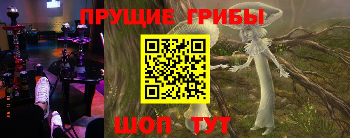 Псилоцибиновые грибы прущие грибы Крымск